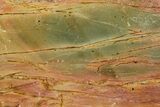Polished Cherry Creek Jasper - China #326033-1